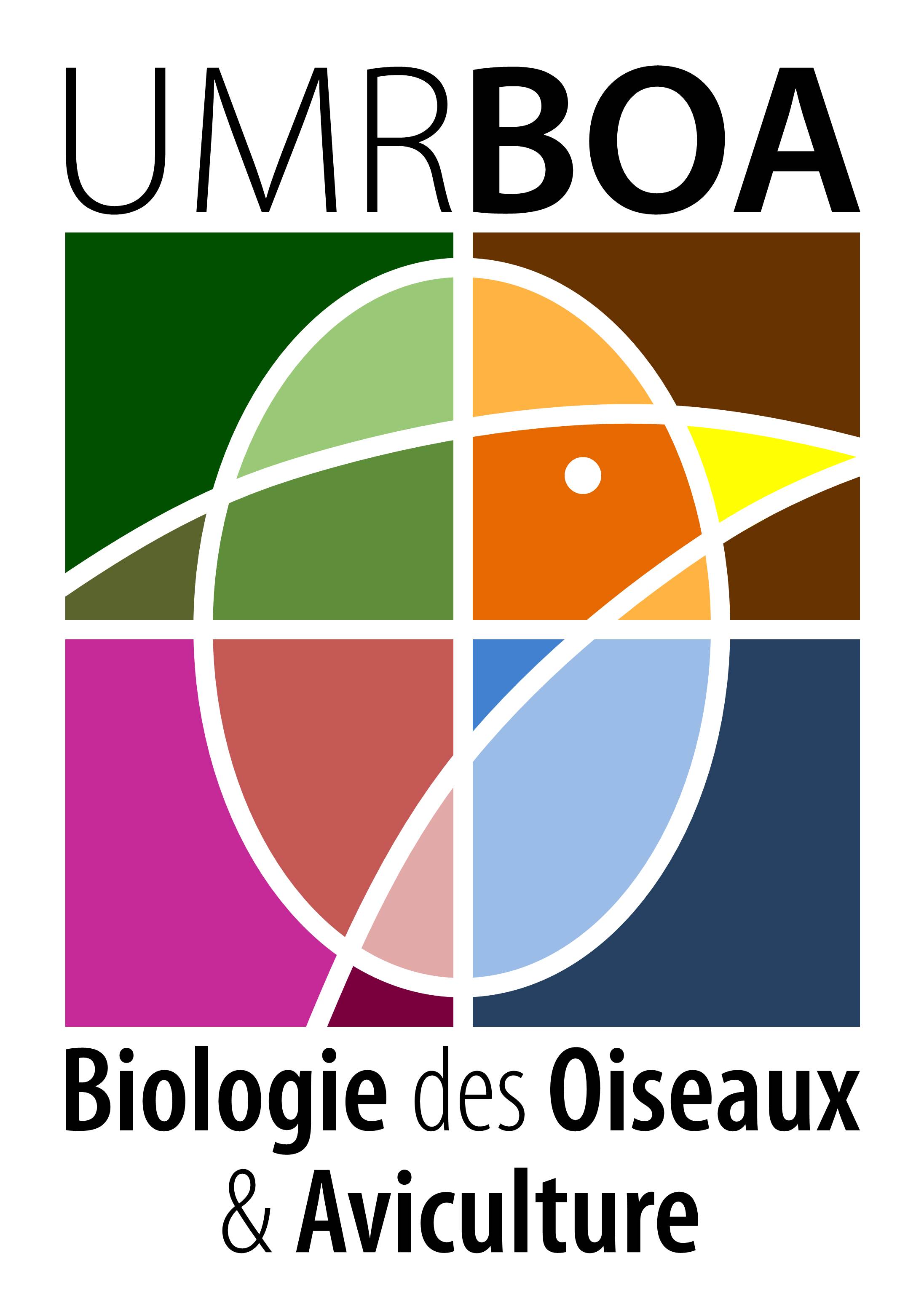 Logo BOA